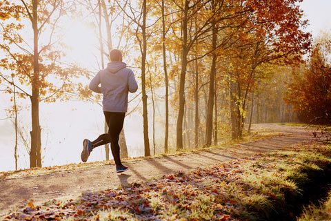 Joggen im Wald ist gut gegen Müdigkeit