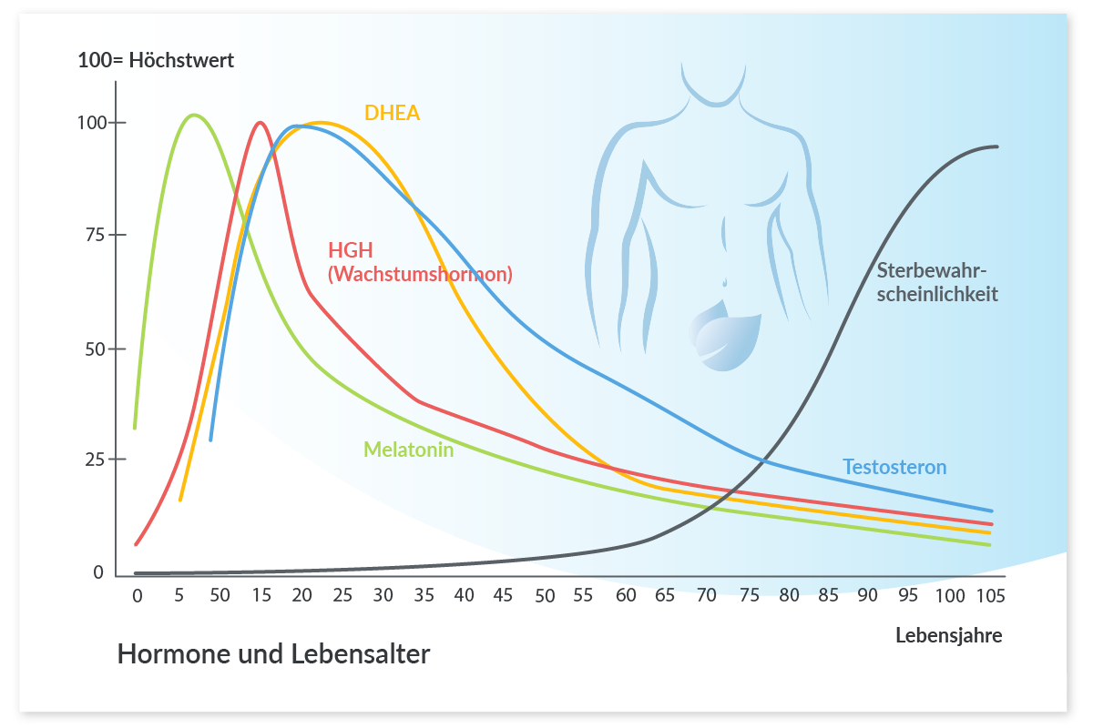 Eine Grafik, die zeigt, wie sich die Hormone in zunehmendem Alter bei Männern verhalten.  DHEA, HGH, Testosteron und Melatonin nehmen stetig ab.