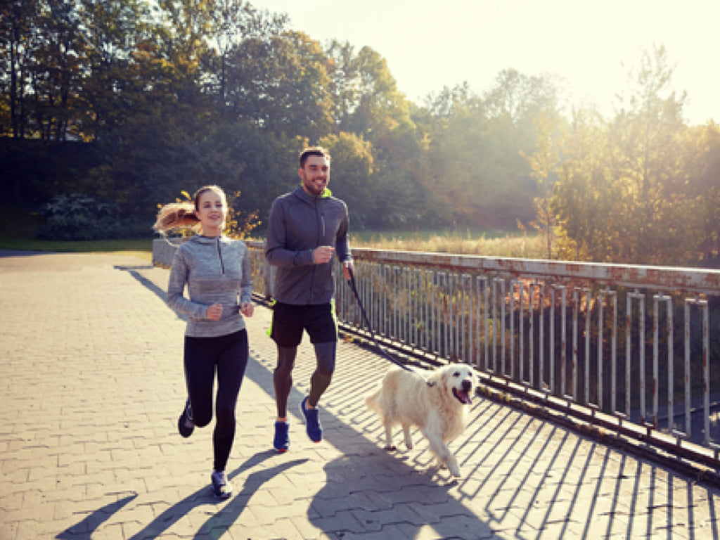 Herbstblues: Mann, Frau und Hund joggen in der Sonne