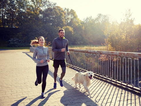 Herbstblues: Mann, Frau und Hund joggen in der Sonne
