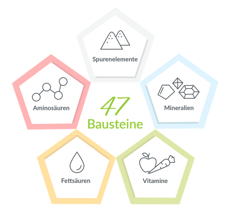 Infografik: die 47 Bausteine der Ernährung