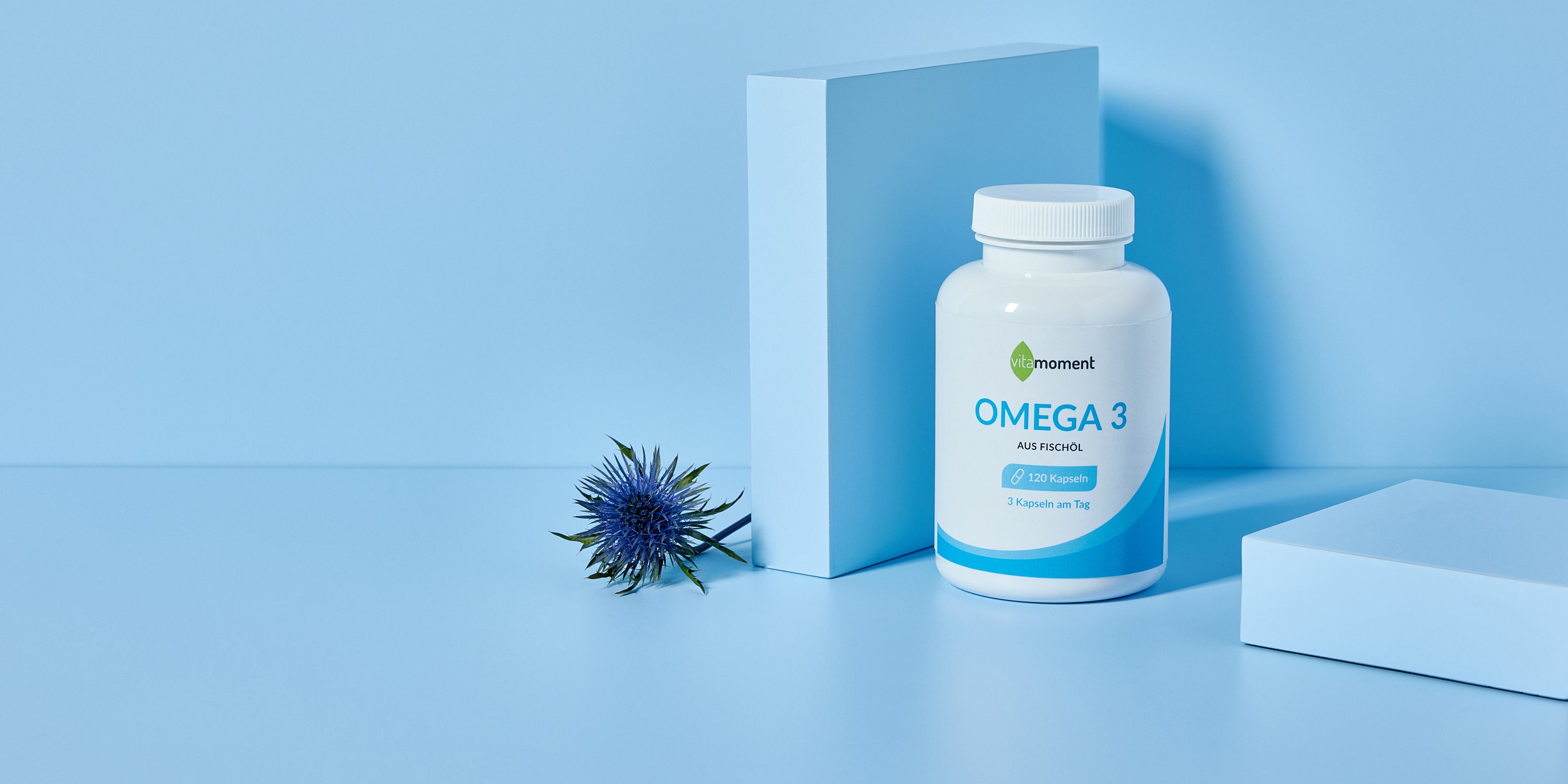 Fischöl vs. Algenöl: VitaMoment Omega-3-Kapseln aus Fischöl