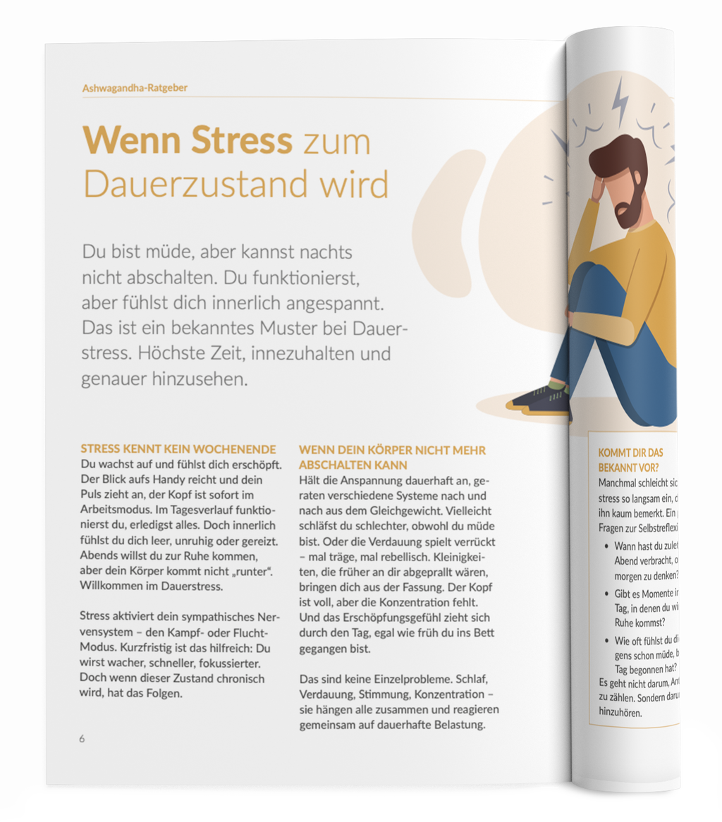 Ashwagandha-Ratgeber - VitaMoment Produkt