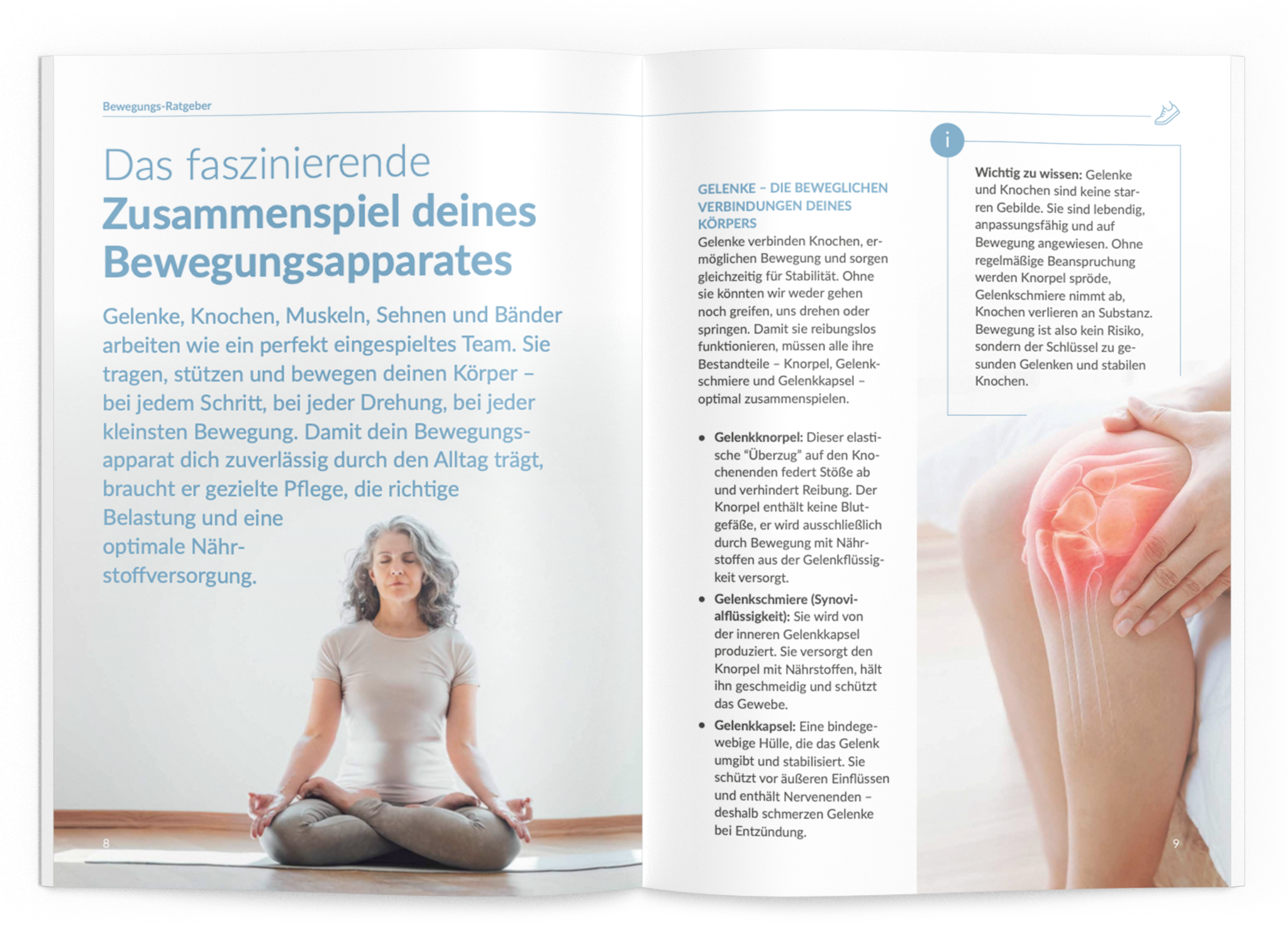 Bewegungs-Ratgeber - 1:Bewegungs-Komplex - VitaMoment Produkt