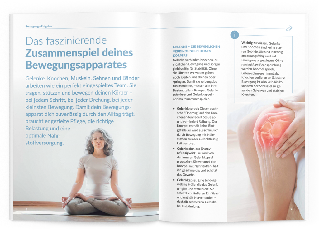 Bewegungs-Ratgeber - 1:Bewegungs-Komplex - VitaMoment Produkt