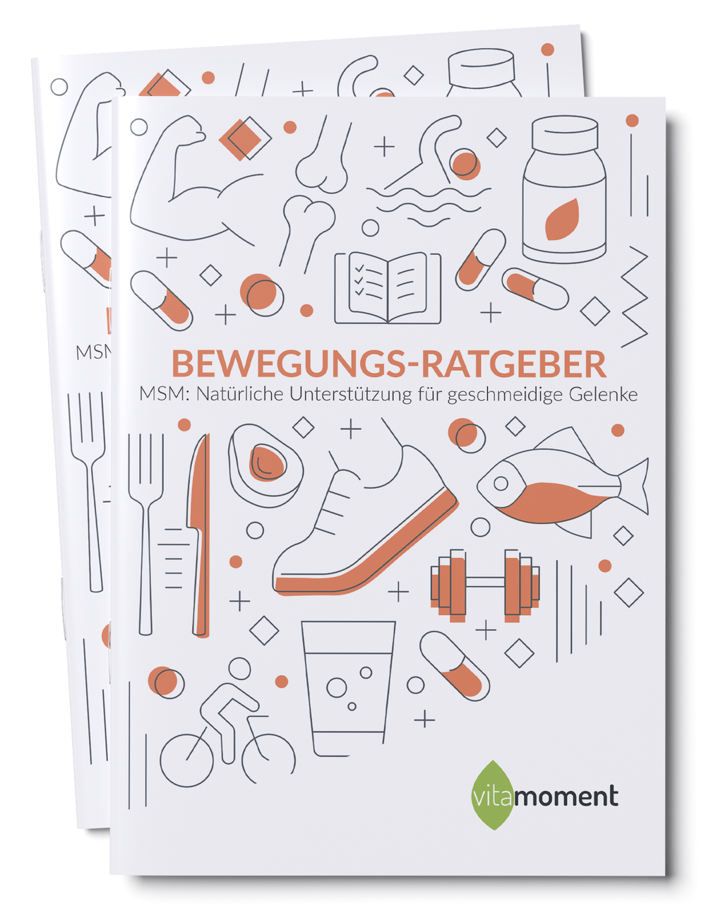Bewegungs-Ratgeber - 1:MSM - VitaMoment Produkt