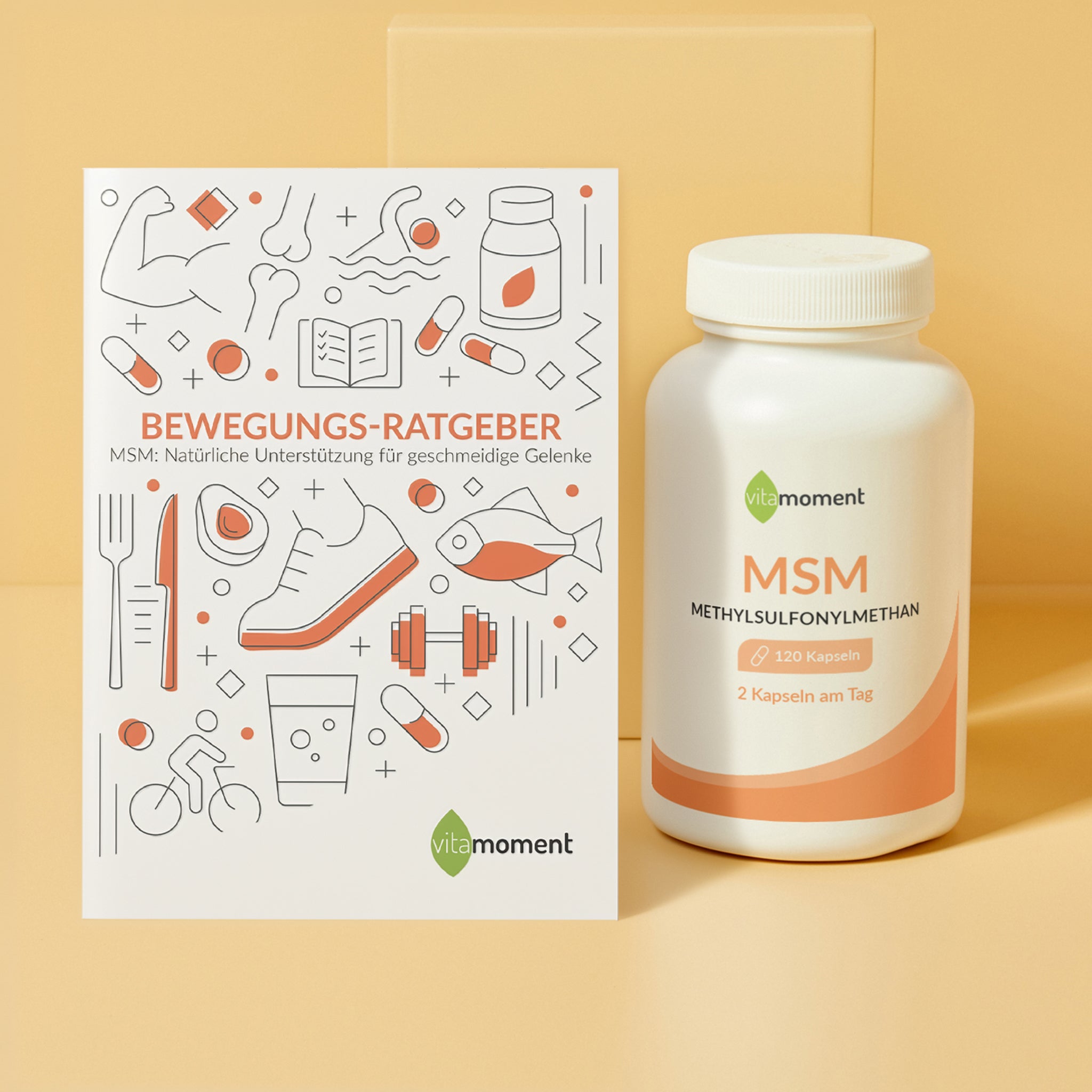 Bewegungs-Ratgeber - 1:MSM - VitaMoment Produkt