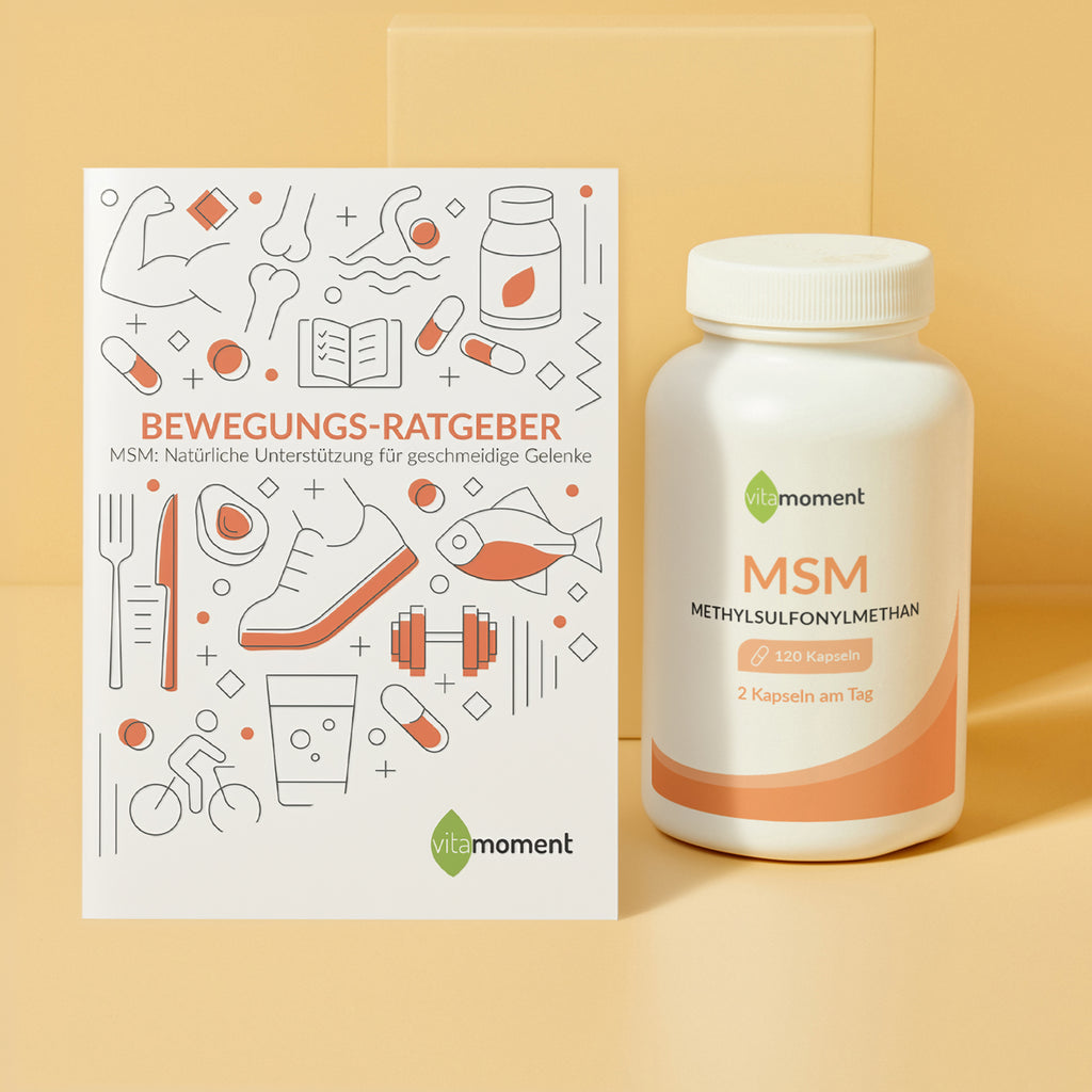 Bewegungs-Ratgeber - 1:MSM - VitaMoment Produkt