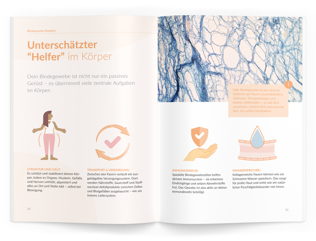 Bindegewebe-Ratgeber - VitaMoment Produkt