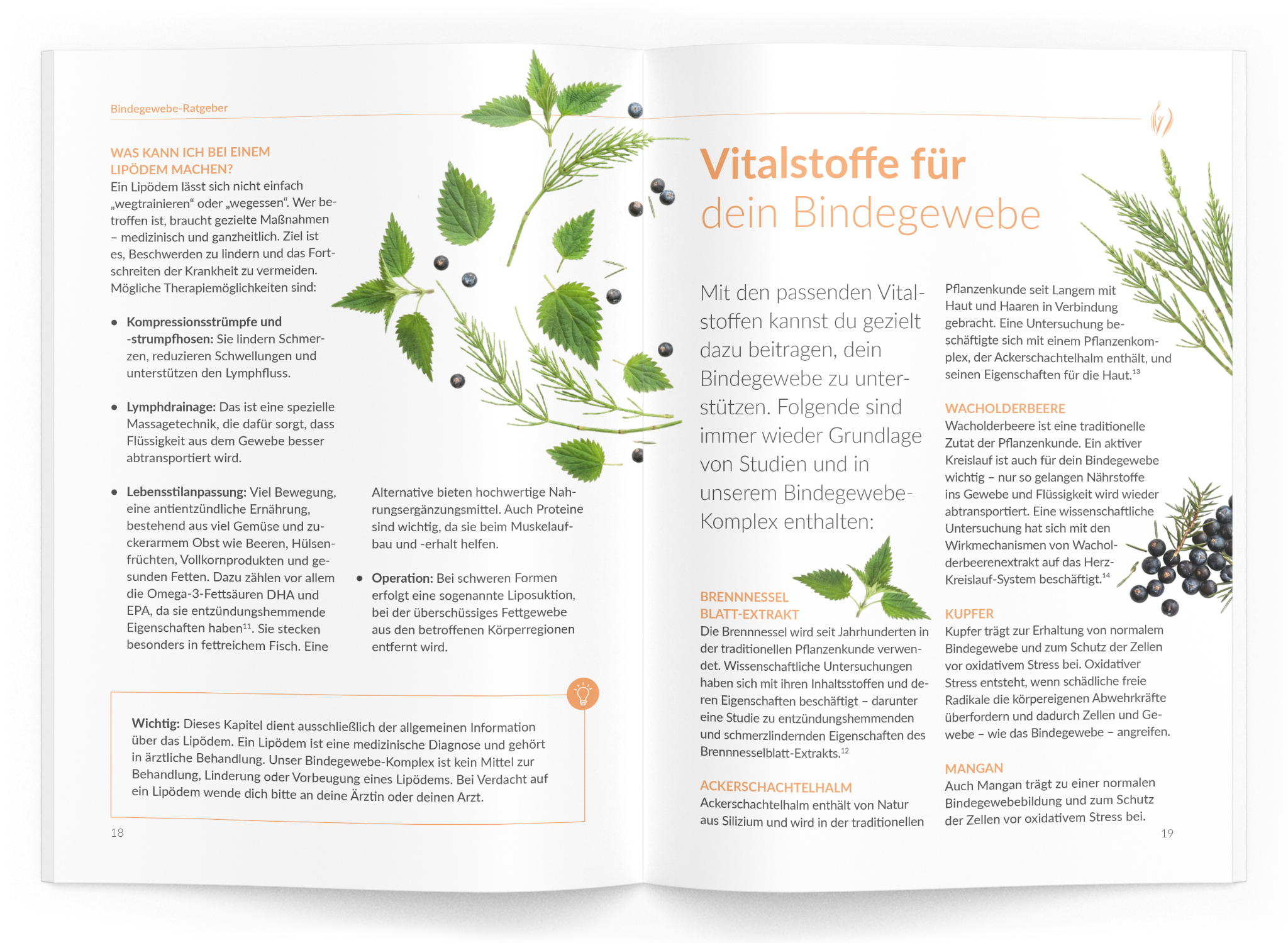 Bindegewebe-Ratgeber - VitaMoment Produkt