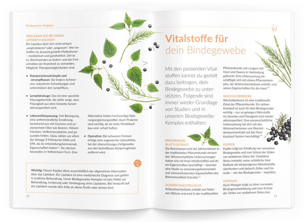 Bindegewebe-Ratgeber - VitaMoment Produkt