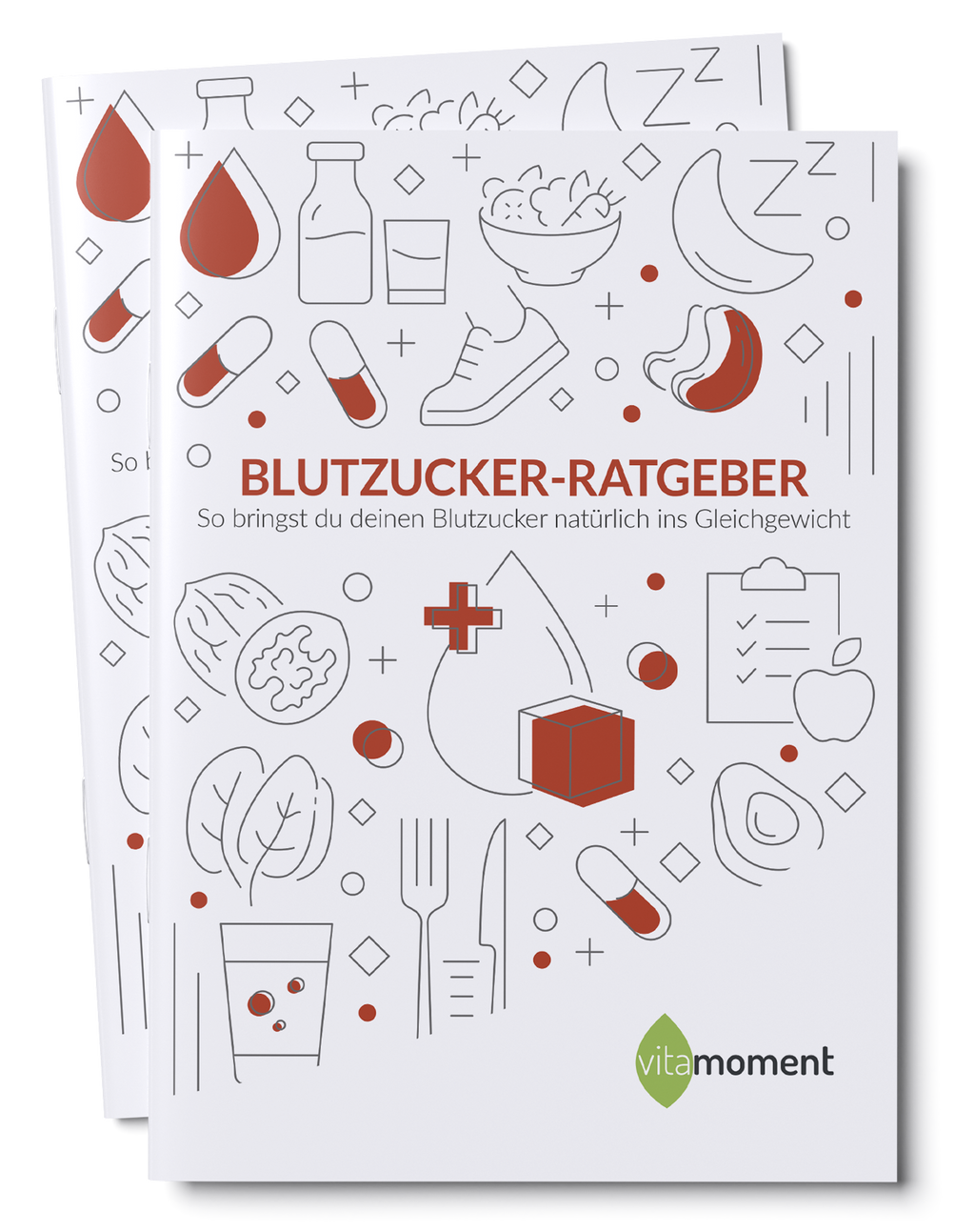 Blutzucker-Ratgeber - VitaMoment Produkt