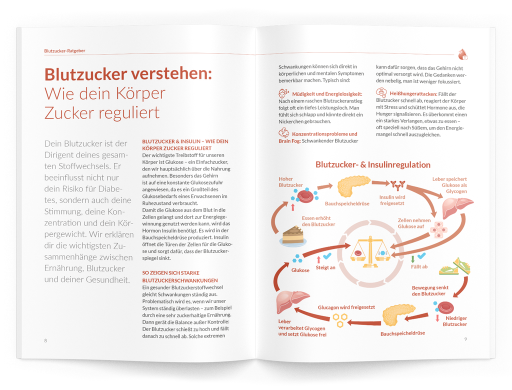Blutzucker-Ratgeber - VitaMoment Produkt