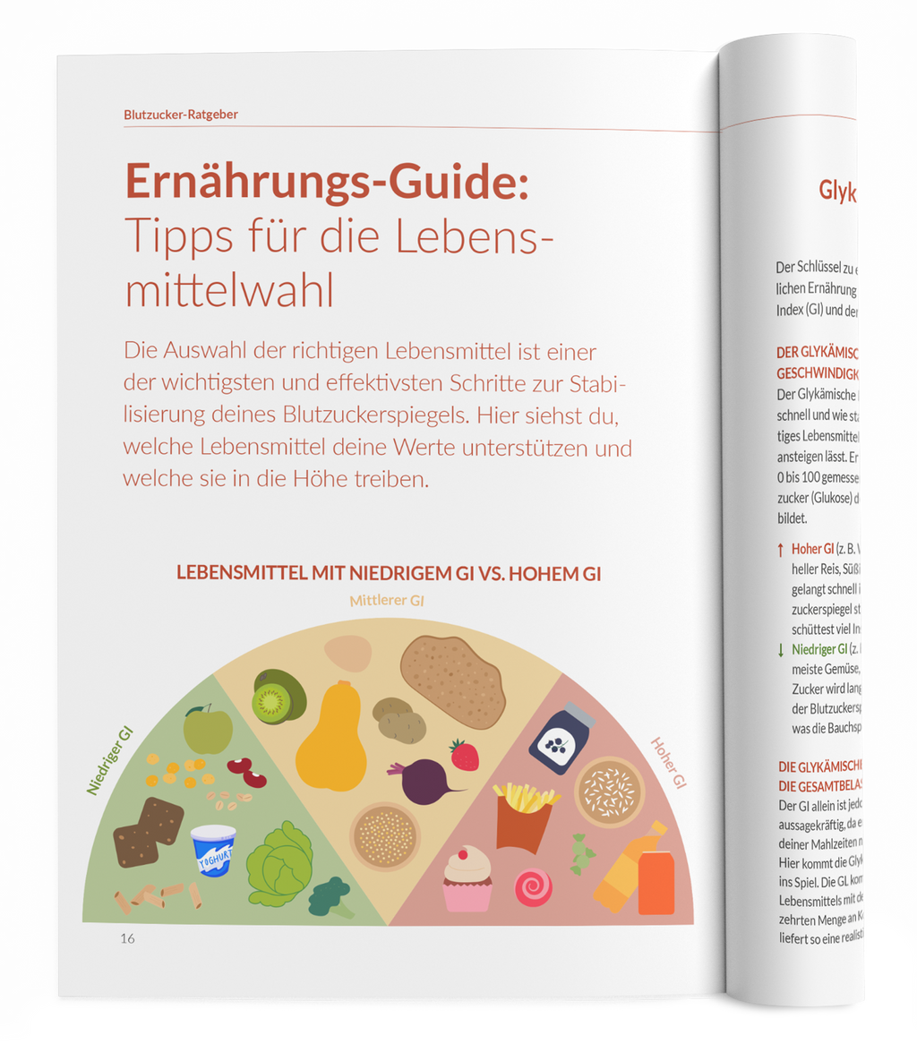 Blutzucker-Ratgeber - VitaMoment Produkt