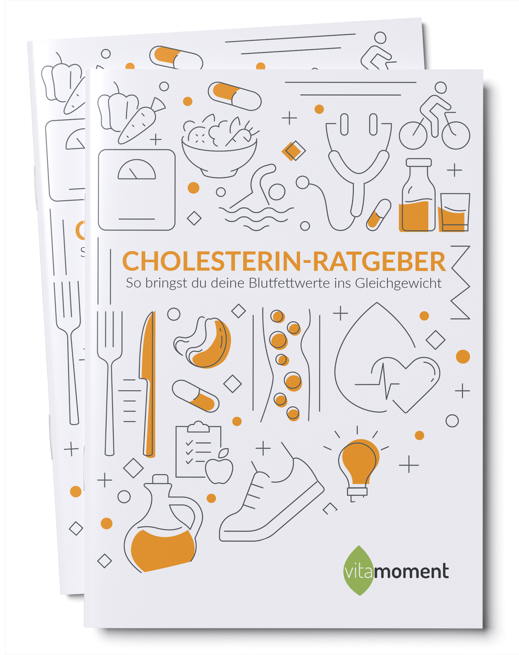 Cholesterin-Ratgeber - VitaMoment Produkt