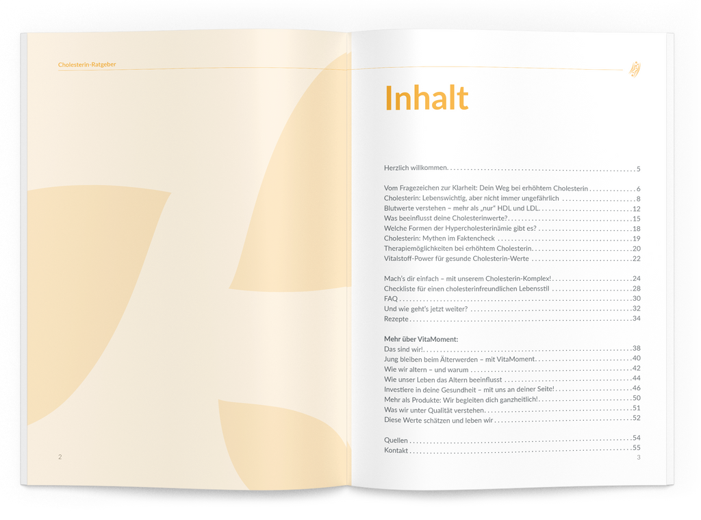 Cholesterin-Ratgeber - VitaMoment Produkt