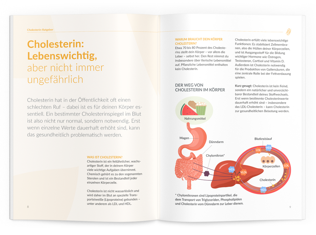 Cholesterin-Ratgeber - VitaMoment Produkt