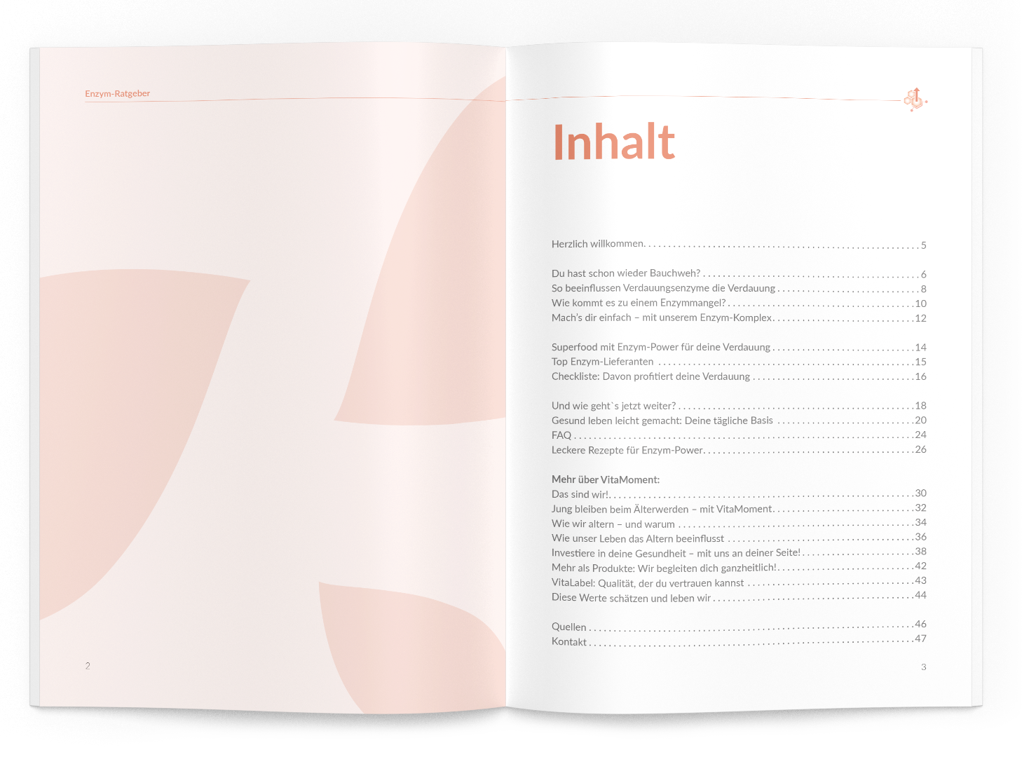 Enzym-Ratgeber - VitaMoment Produkt