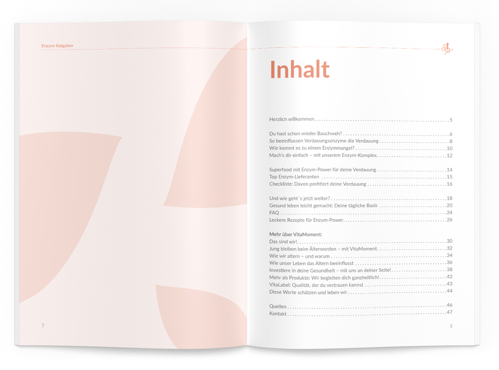 Enzym-Ratgeber - VitaMoment Produkt