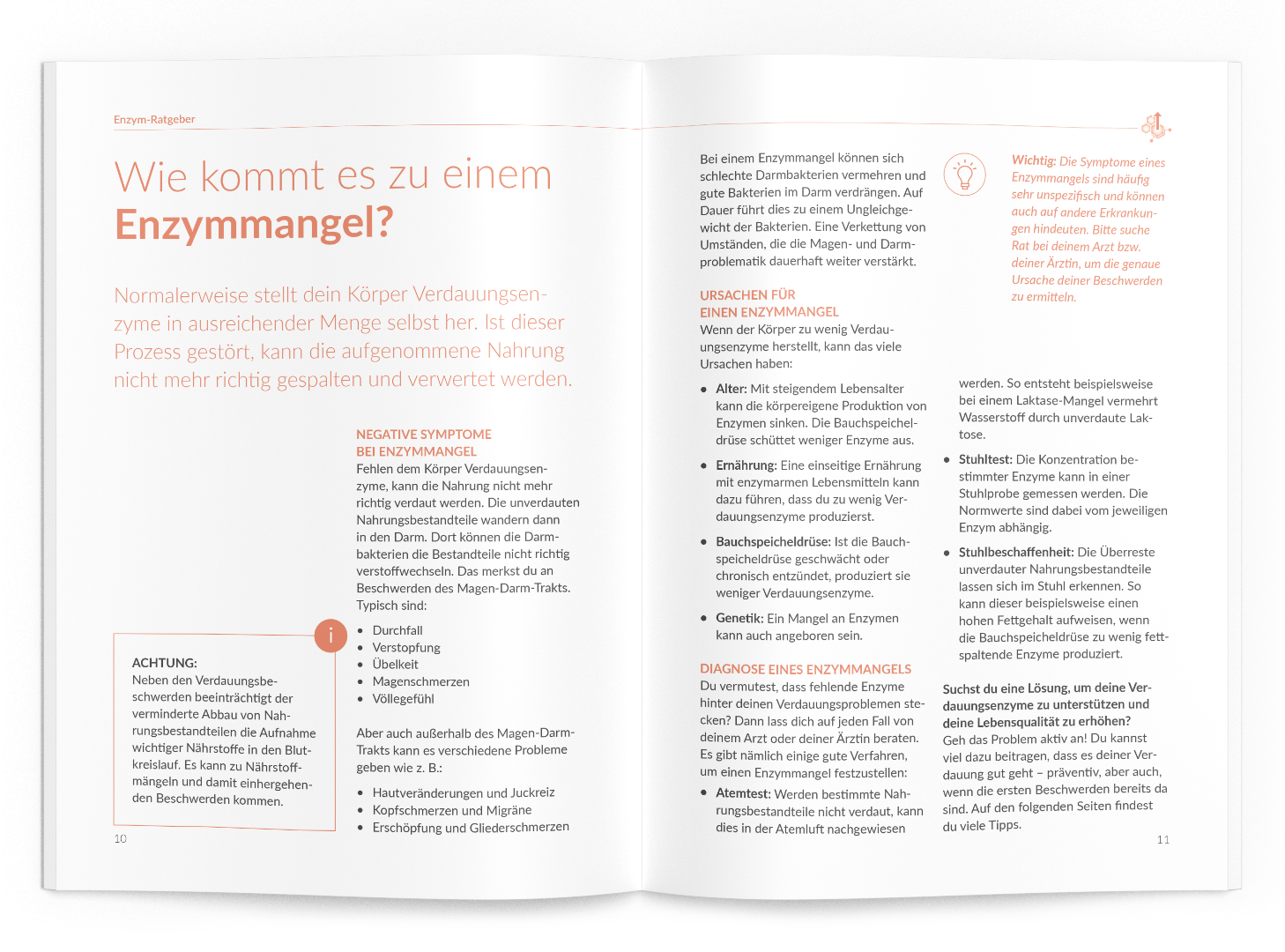 Enzym-Ratgeber - VitaMoment Produkt
