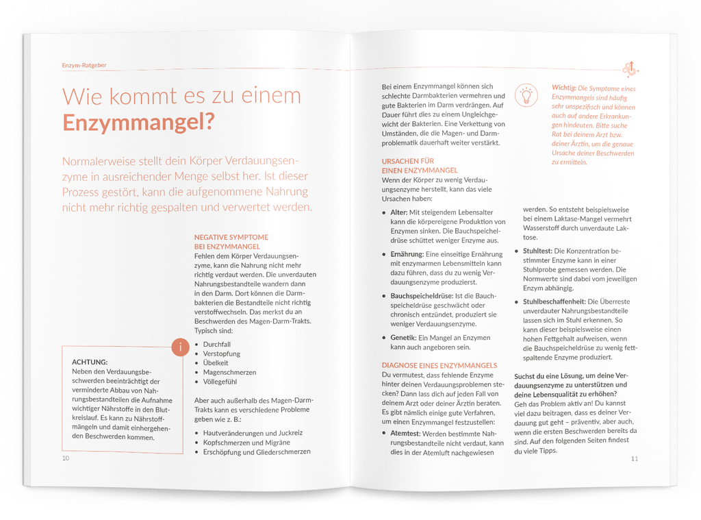 Enzym-Ratgeber - VitaMoment Produkt