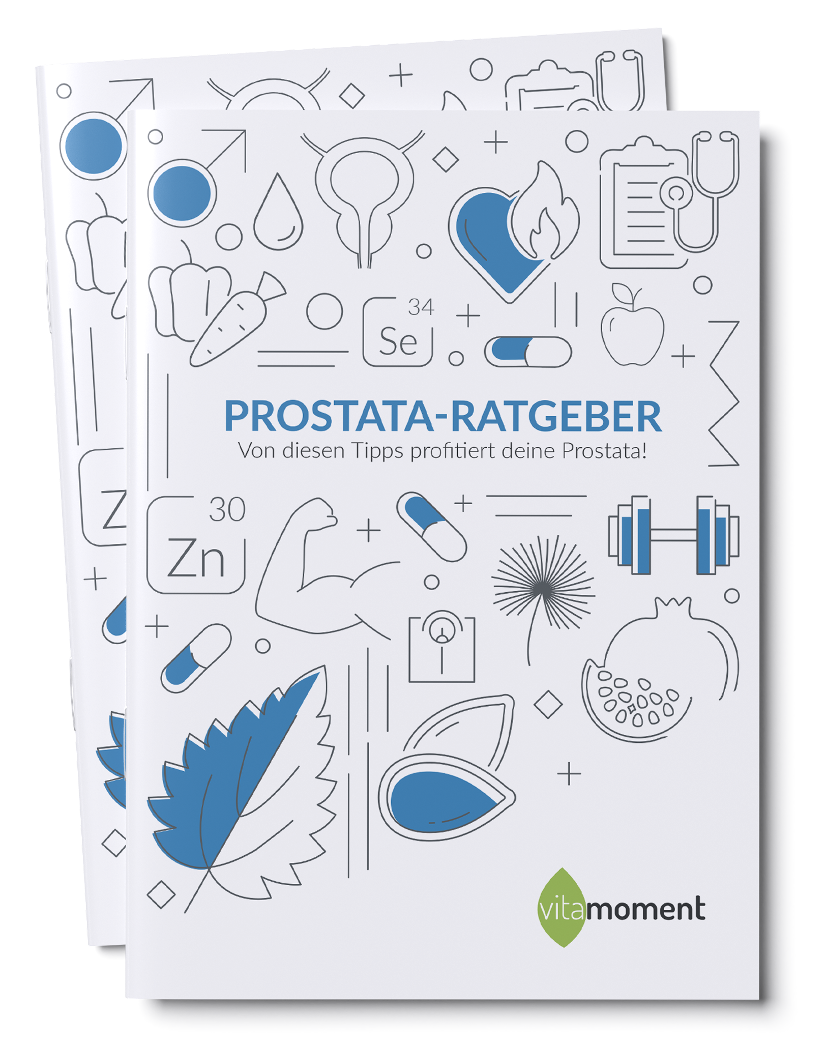 Prostata-Ratgeber