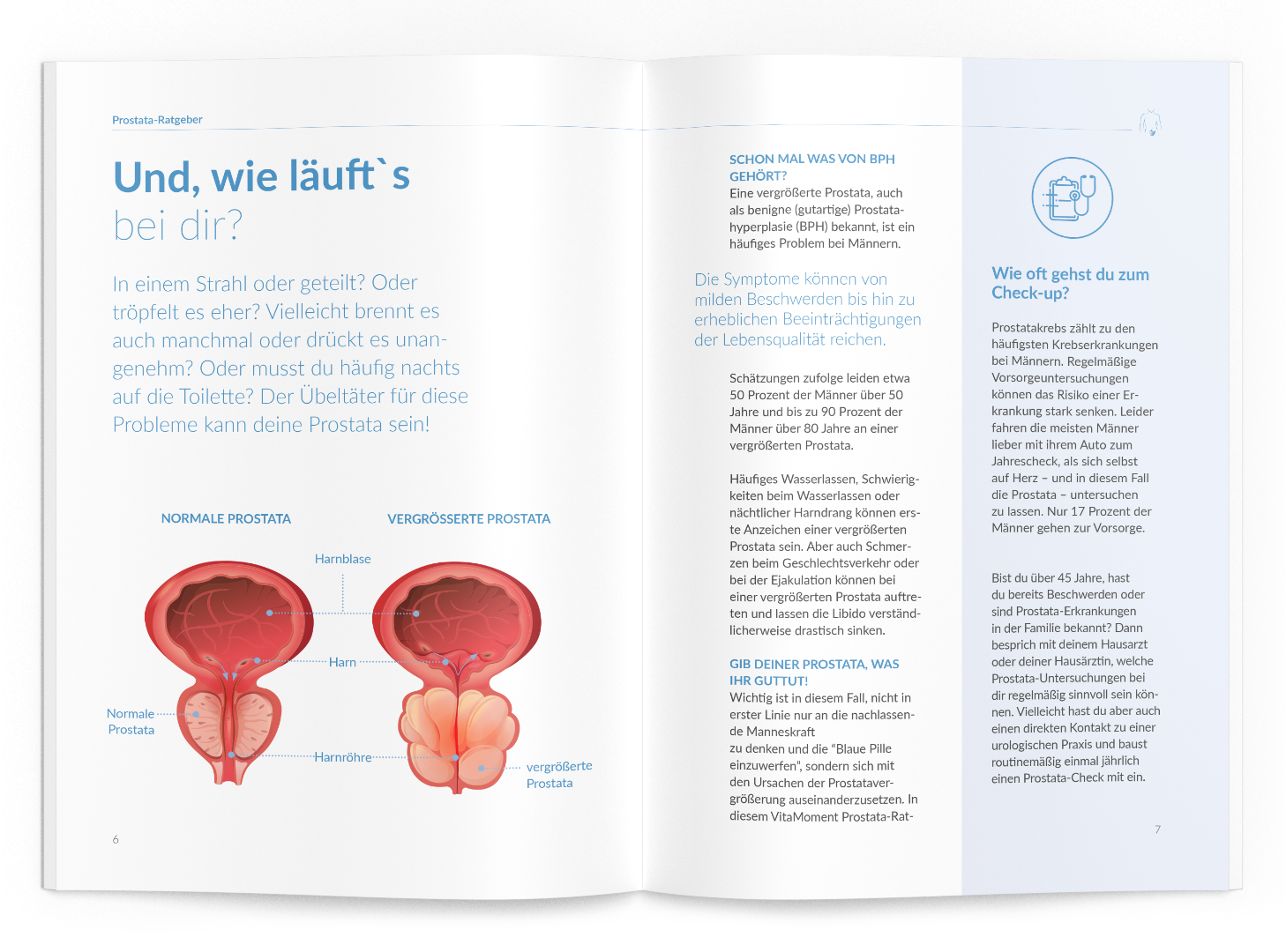 Prostata-Ratgeber - VitaMoment Produkt