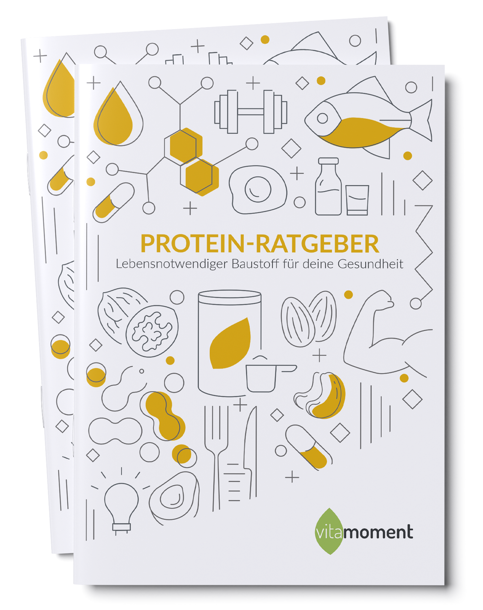 Protein-Ratgeber