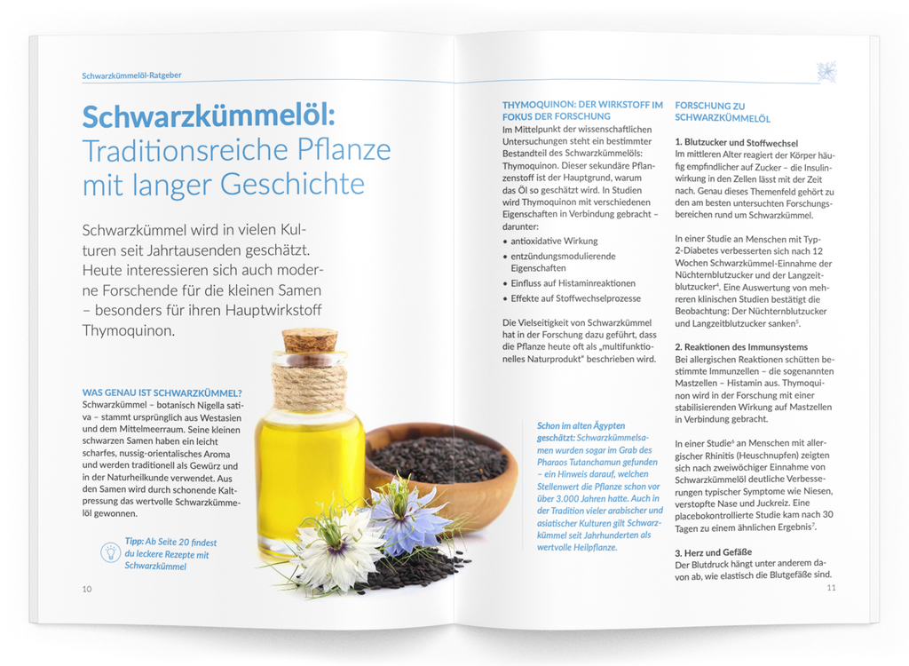 Schwarzkümmelöl-Ratgeber - VitaMoment Produkt