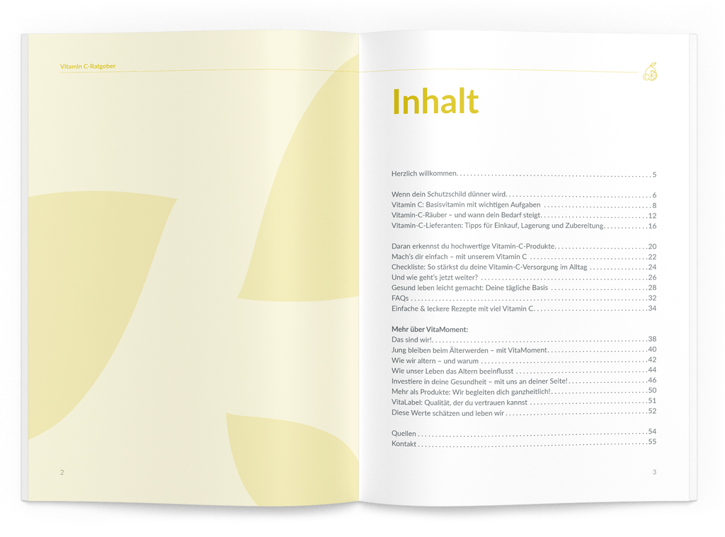 Vitamin-C-Ratgeber - VitaMoment Produkt