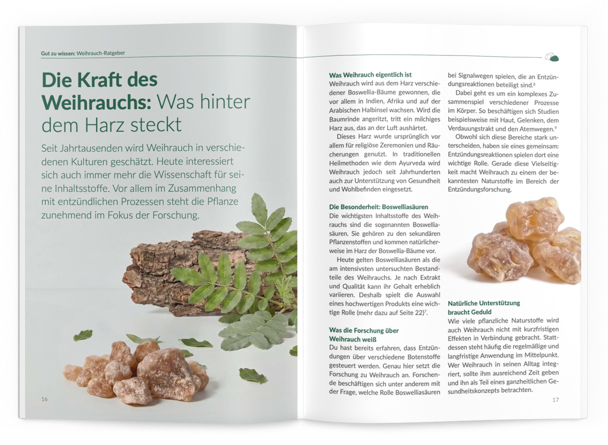 Weihrauch-Ratgeber - VitaMoment Produkt