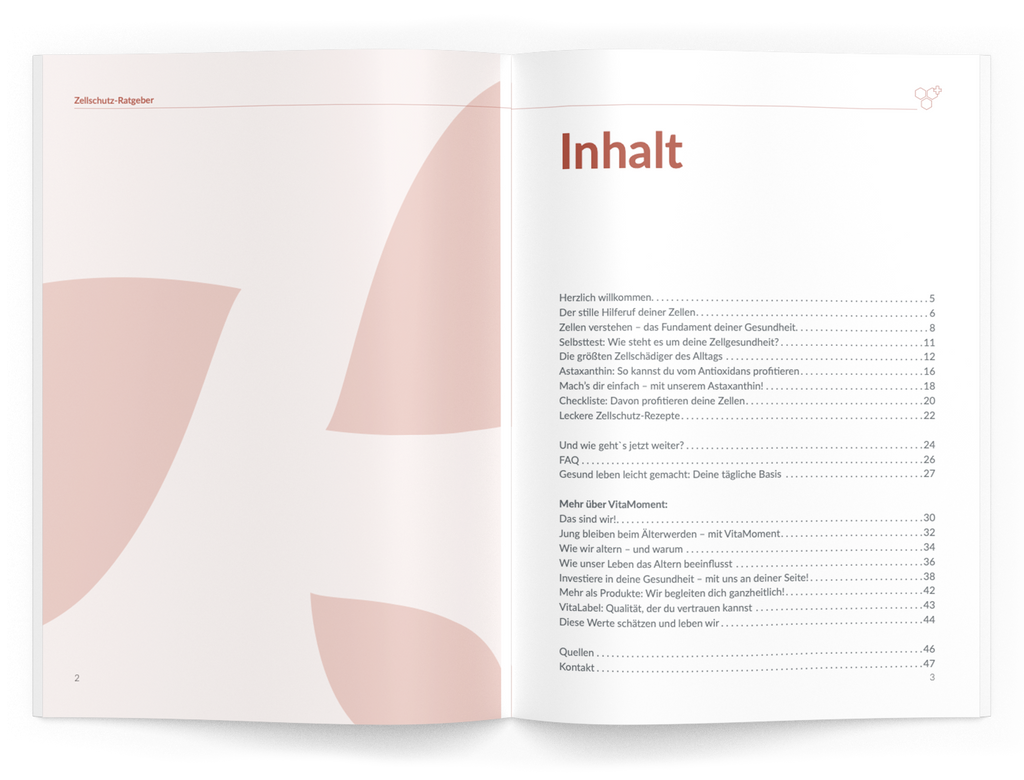 Zellschutz-Ratgeber - 1:Astaxanthin - VitaMoment Produkt