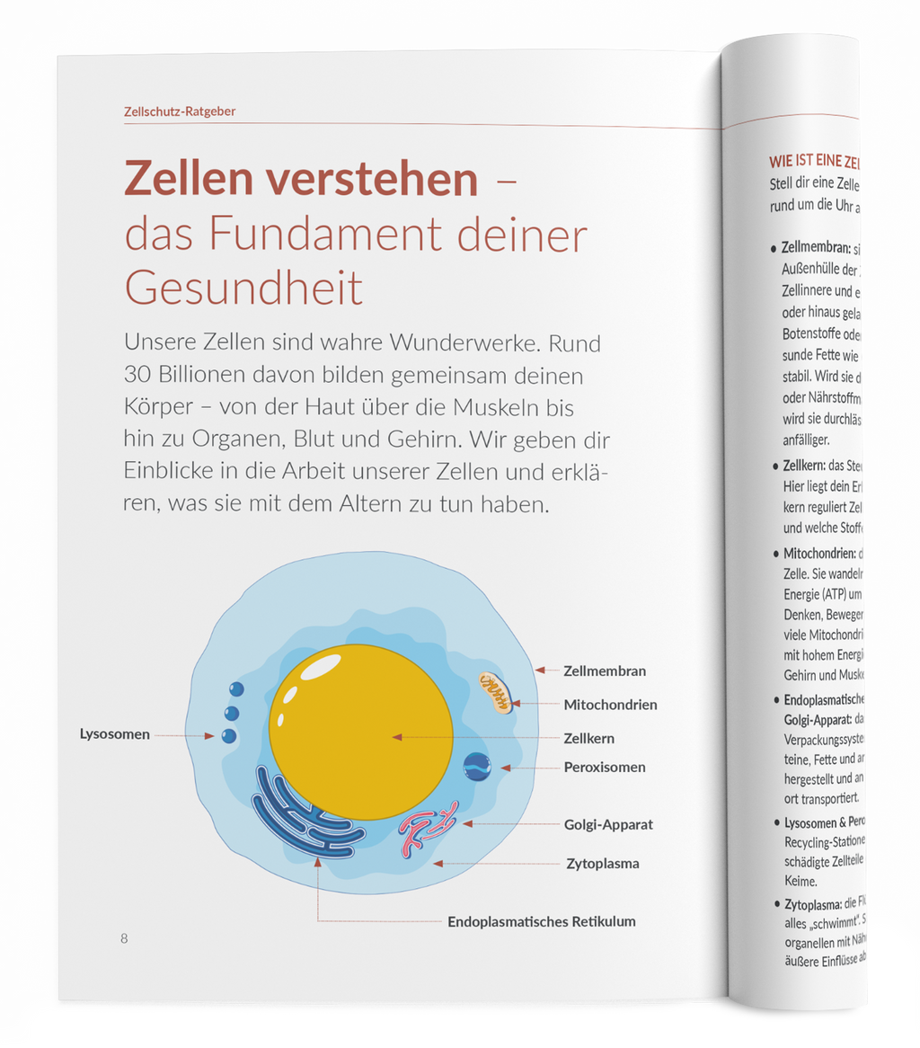 Zellschutz-Ratgeber - 1:Astaxanthin - VitaMoment Produkt