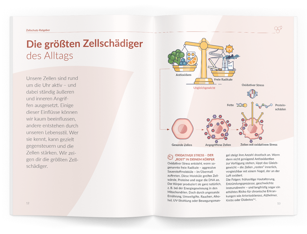 Zellschutz-Ratgeber - 1:Astaxanthin - VitaMoment Produkt