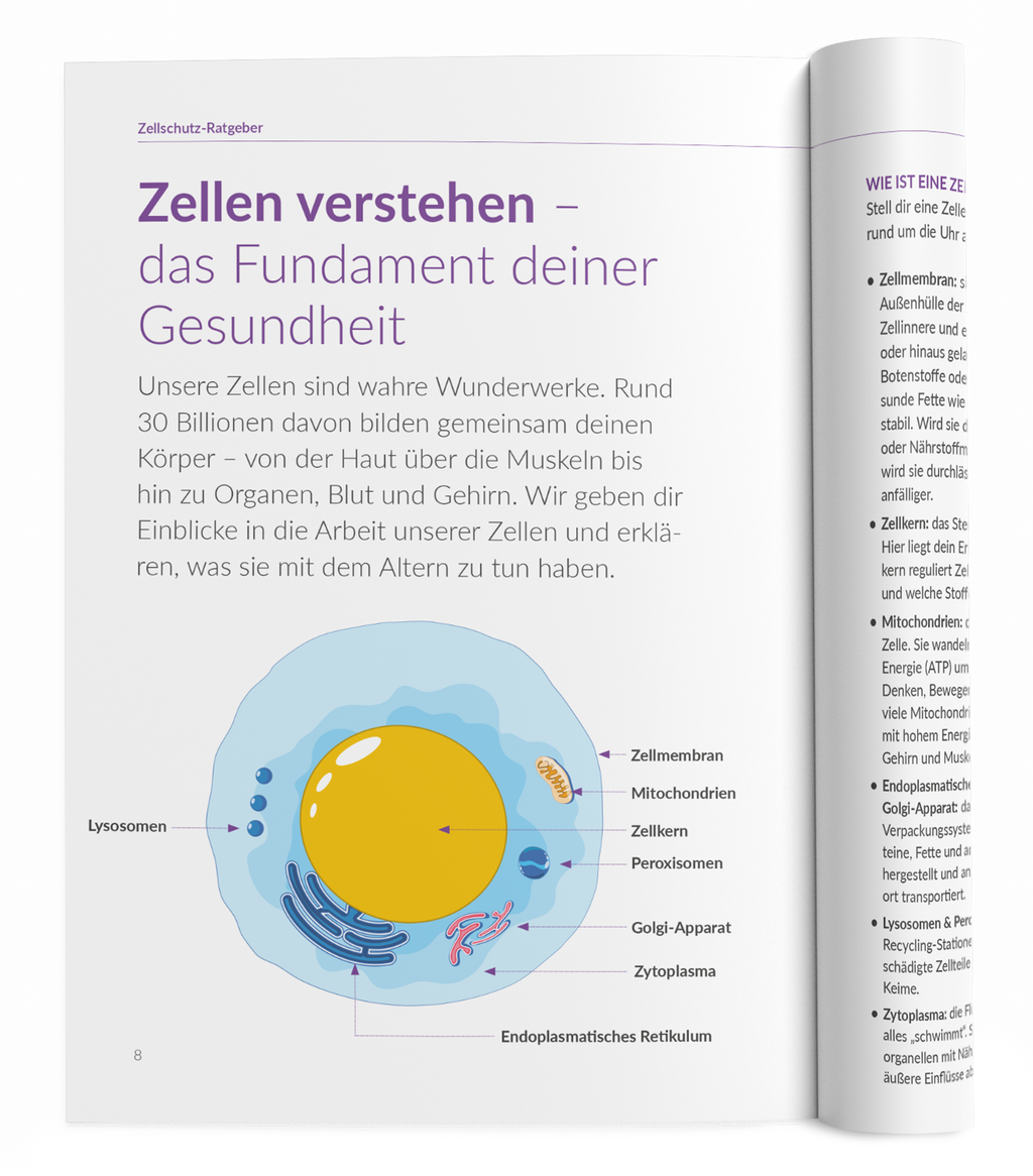 Zellschutz-Ratgeber - 1:OPC - VitaMoment Produkt