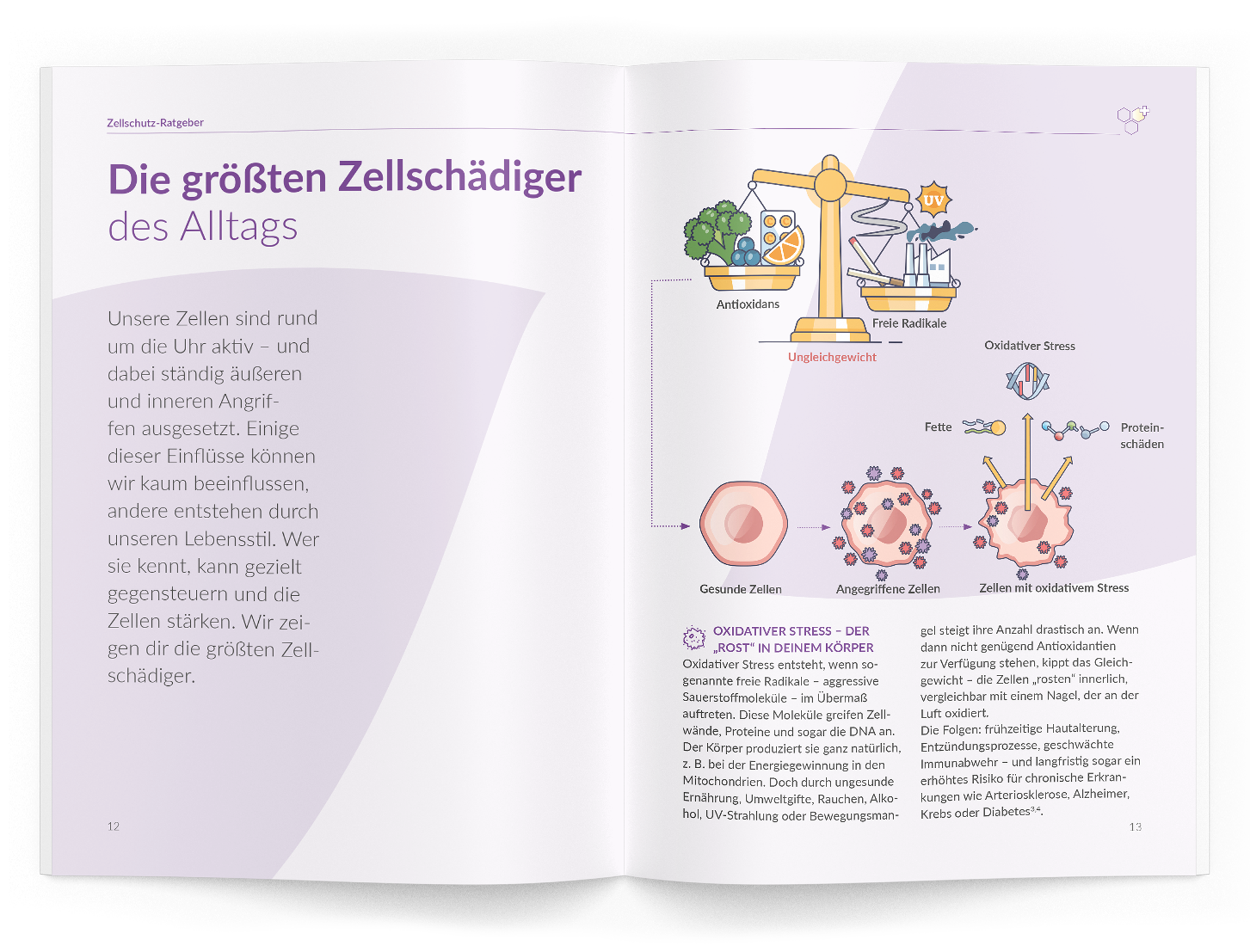 Zellschutz-Ratgeber - 1:OPC - VitaMoment Produkt