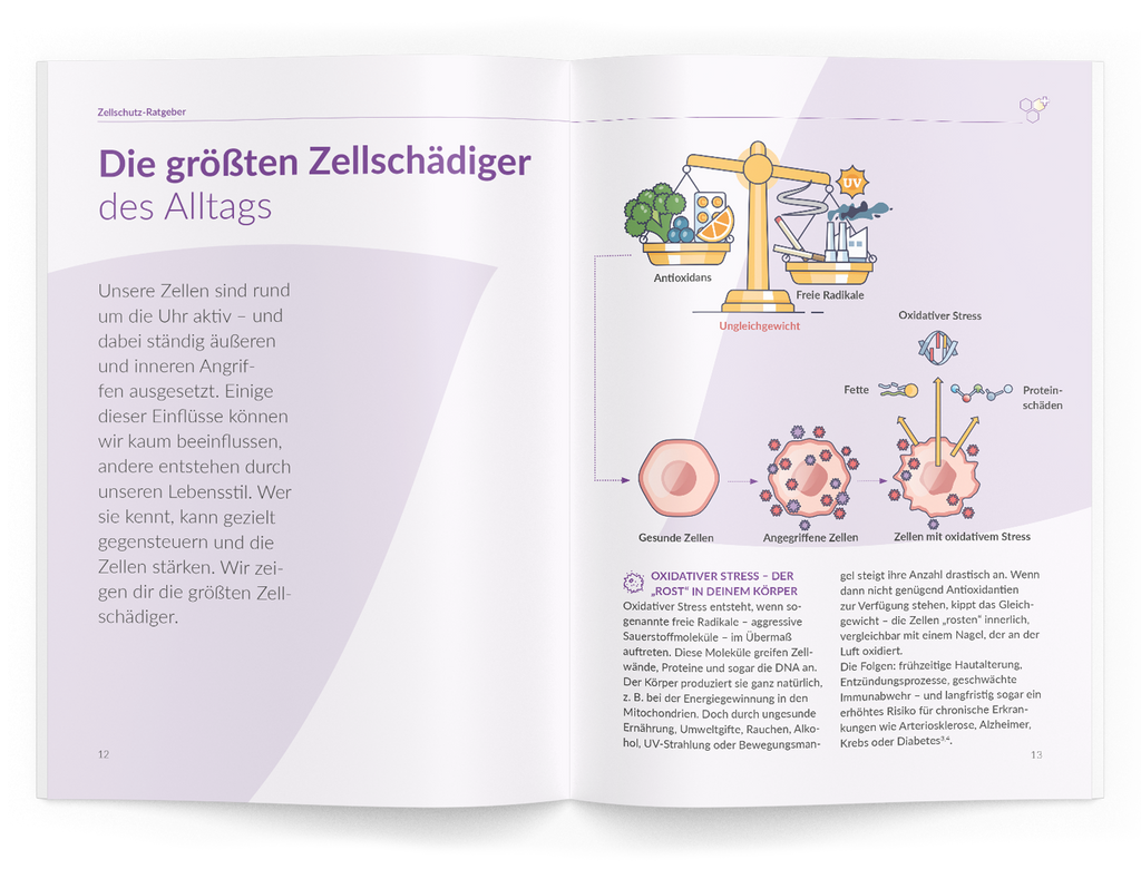 Zellschutz-Ratgeber - 1:OPC - VitaMoment Produkt