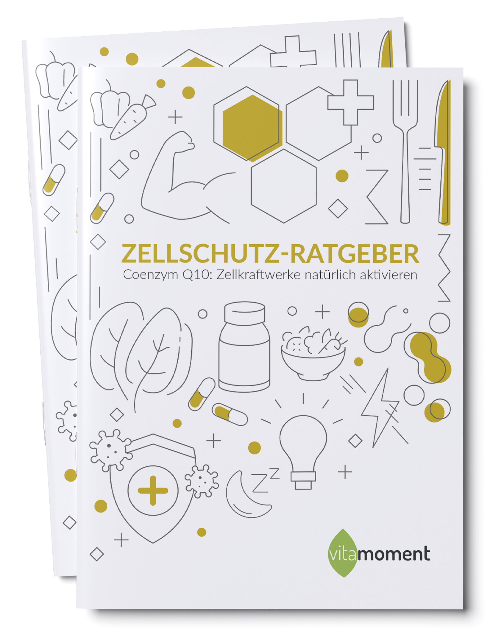 Zellschutz-Ratgeber - 1:Q10 - VitaMoment Produkt