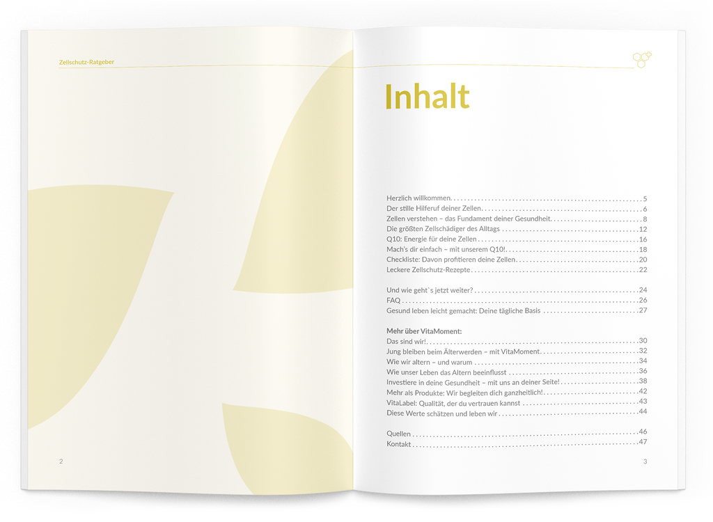 Zellschutz-Ratgeber - 1:Q10 - VitaMoment Produkt