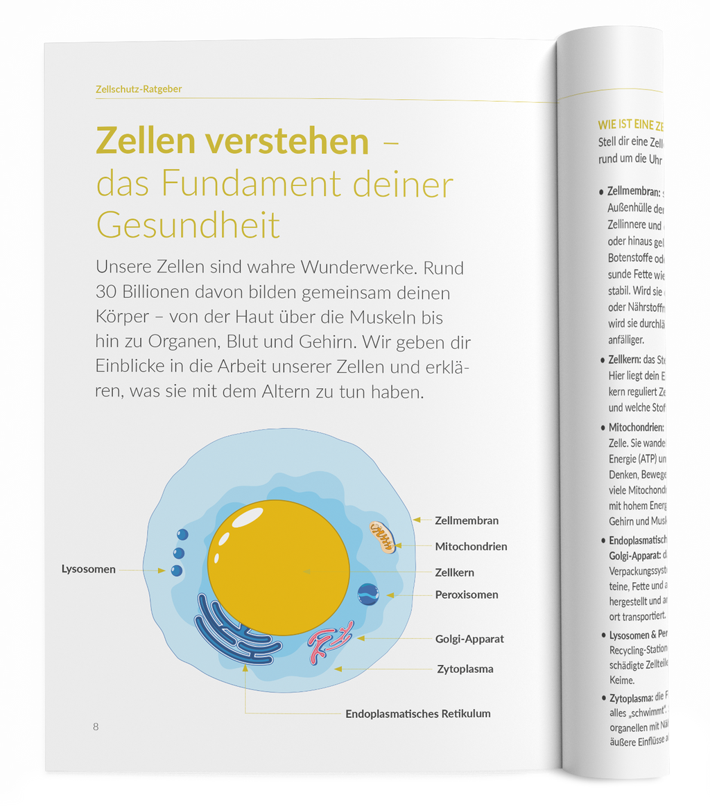 Zellschutz-Ratgeber - 1:Q10 - VitaMoment Produkt