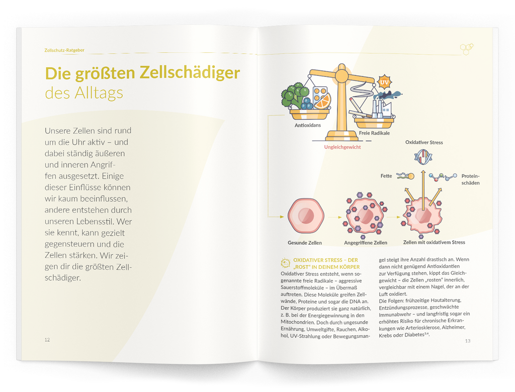 Zellschutz-Ratgeber - 1:Q10 - VitaMoment Produkt