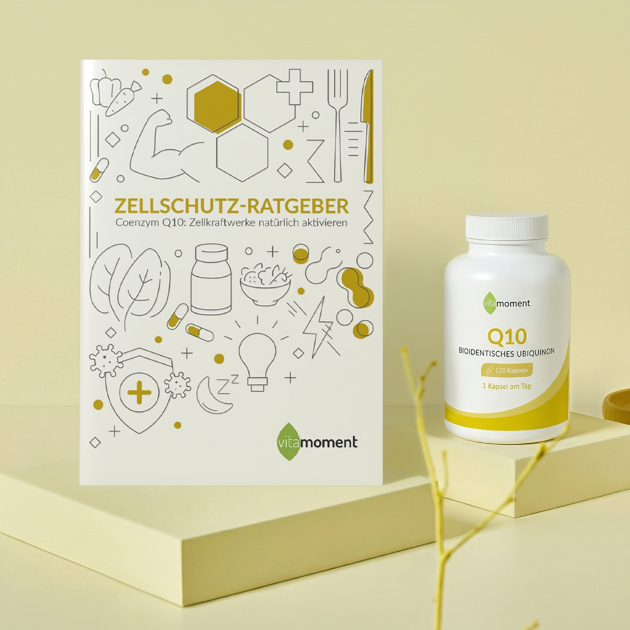 Zellschutz-Ratgeber - 1:Q10 - VitaMoment Produkt