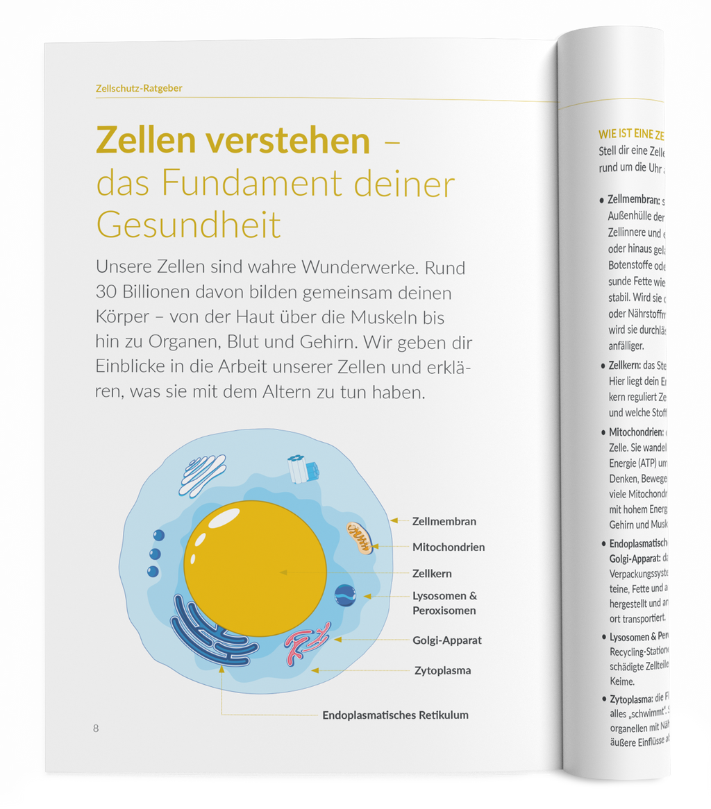 Zellschutz-Ratgeber - 1:Zellschutz-Komplex - VitaMoment Produkt