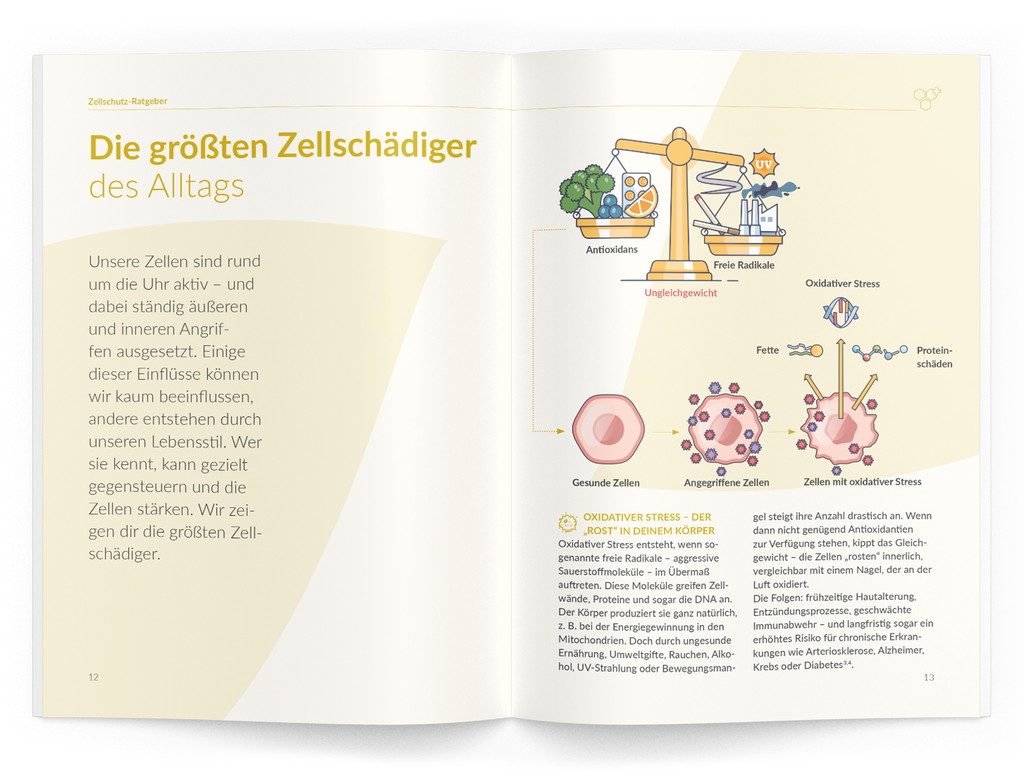 Zellschutz-Ratgeber - 1:Zellschutz-Komplex - VitaMoment Produkt