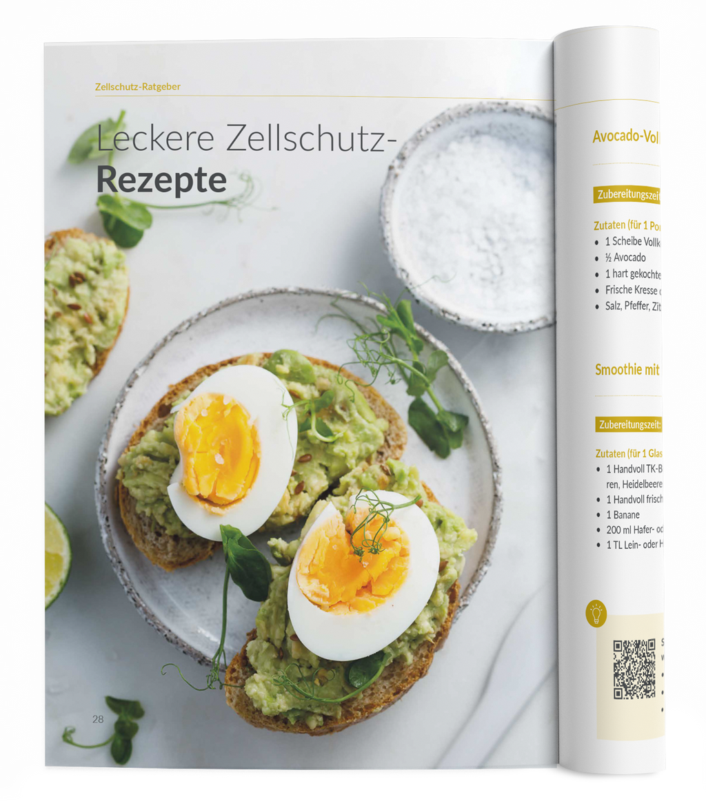 Zellschutz-Ratgeber - 1:Zellschutz-Komplex - VitaMoment Produkt
